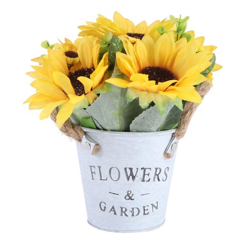 Vaso fiori girasole pianta - di,