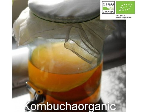 Tè grande biologico - x,