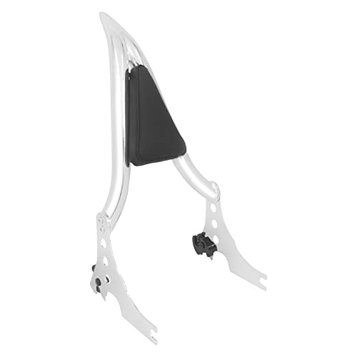 Passenger sissy bar detachable - passenger,