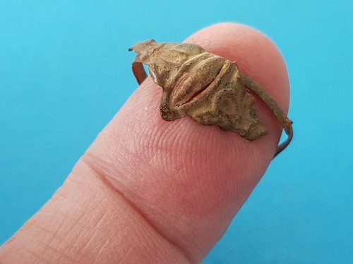 Anello lega rame post - di,