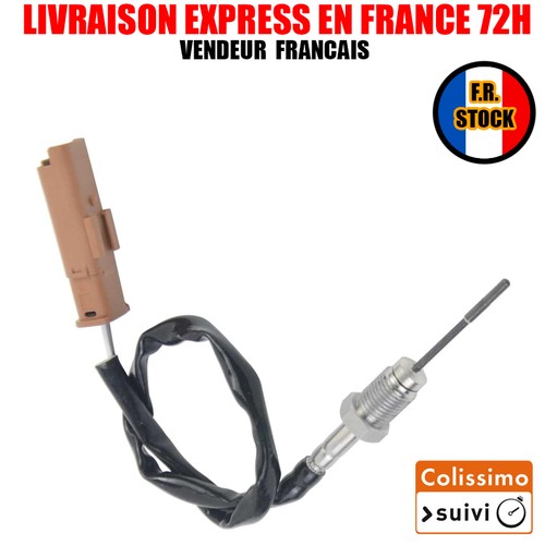 Capteur température gaz pour - gaz,