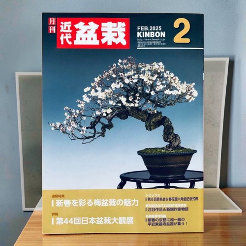 Monthly modern bonsai 2025 feb - modern,