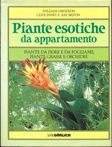 Piante esotiche - esotiche, da
