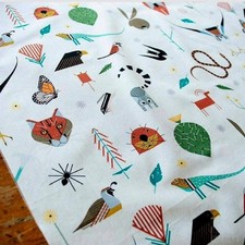 Charley Harper•Canyon