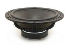 Scan speaking woofer - speaking,