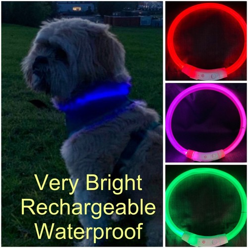 Collare per cani illuminato - collare,