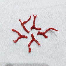 Ramo di corallo rosso lucido