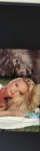 Silvia saint diapositiva - diapositiva, 35