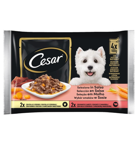 Alimento umido per cani cesar - alimento,