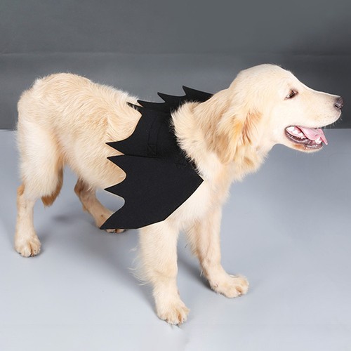 Ali halloween per animali - ,