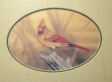 STEVE LEONARDI CARDINAL BIRD