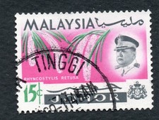 Malesia Malaysia Johor 1965 Orchidee Orchids fiori flowers flora piante plants