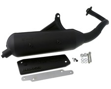 Scarico MALOSSI Wild Lion per