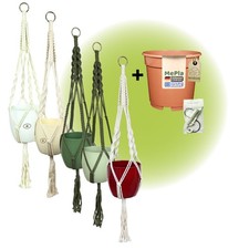 MePla - Set - Semaforo