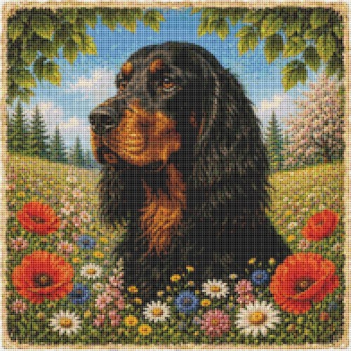Gordon setter cucciolo - gordon,