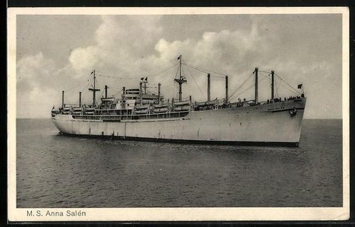 Anna salén vicino - salén,