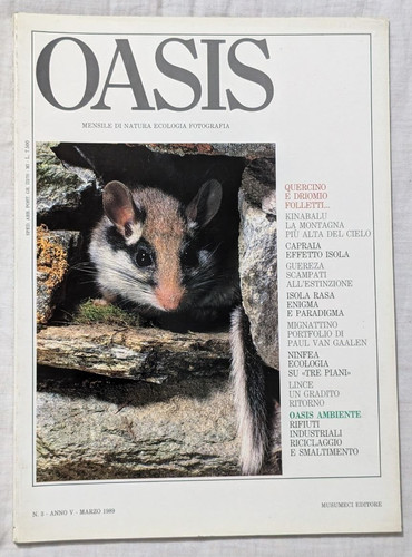 Rivista oasis marzo - 3,
