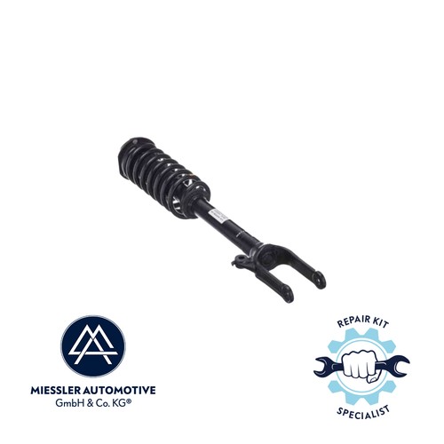 Ammortizzatore mercedes w251 - ammortizzatore,