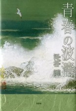 Libro novelessyay letteratura