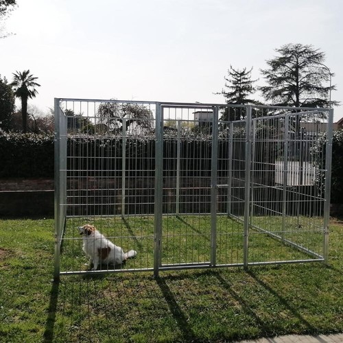 Box per cani rete - in,