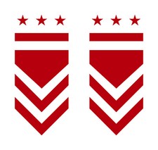 Adesivi Stelle Graduate