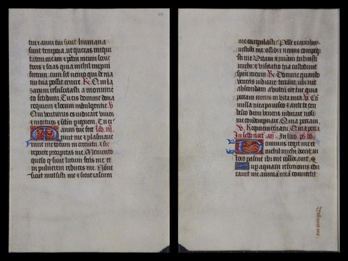 Illuminierte grafia - illuminierte,