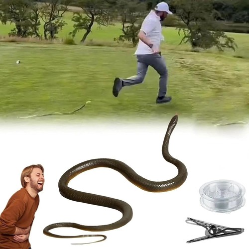 Giocattolo scherzo serpente - , in