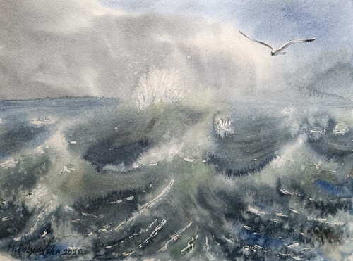 Sea wave bird seagull sky - sea,