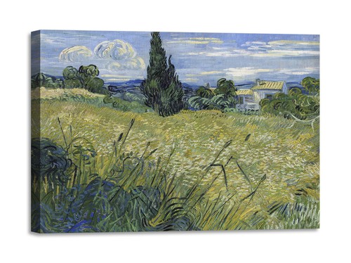 Quadro stampa tela - stampa,