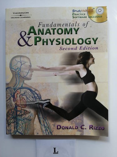 Fundamentals anatomy and - fundamentals,