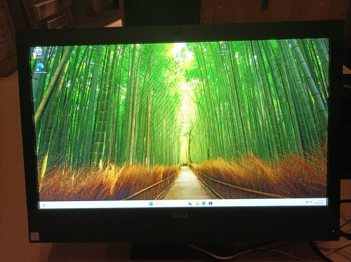 Dell optiplex 7440 aio - dell, in