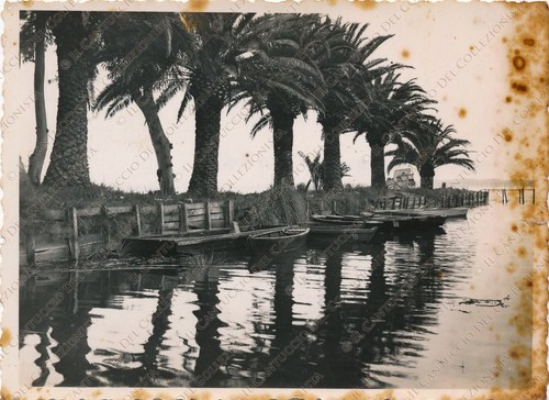 1934 latina lago - 1934, fogliano