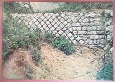 PARCO CIRCEO - MURO ROMANO