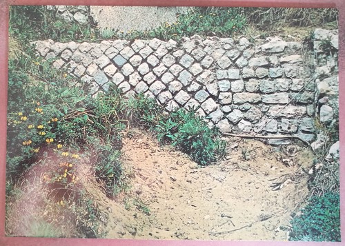 Parco circeo muro - -,