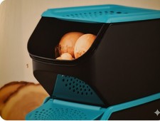 Orto in Casa Tupperware