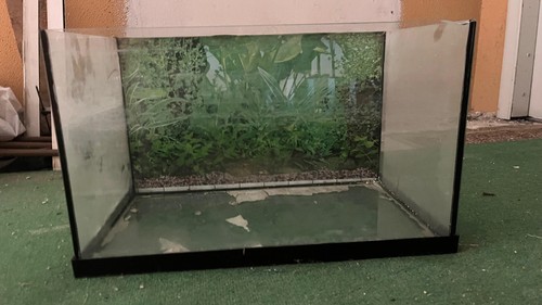 Acquario rettangolare litri - acquario,