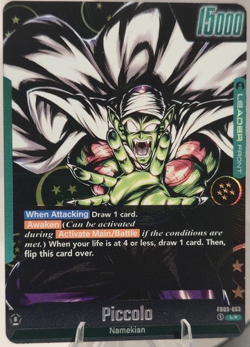 Fb03 053 piccolo - carta, leader