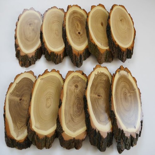 Pezzi targhe trofeo acacia - pezzi,