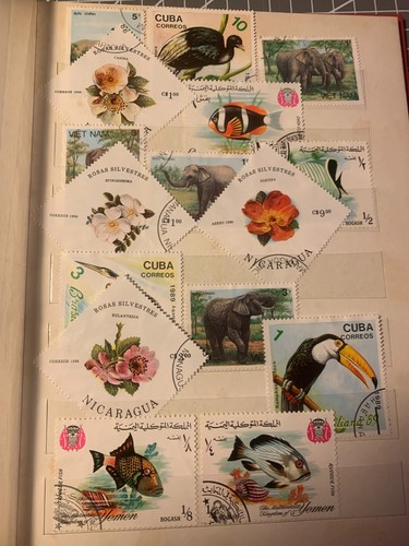 Lotto album raccoglitori - 3,