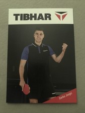 Table Tennis - Tibhar - Darko Jorgic