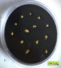 13 pepite d'oro naturali