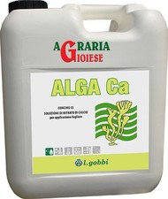 56642 GOBBI ALGA CA STIMOLANTE ALGA CON CALCIO lt. 4