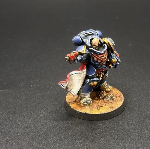 Pro painted warhammer - painted, gw