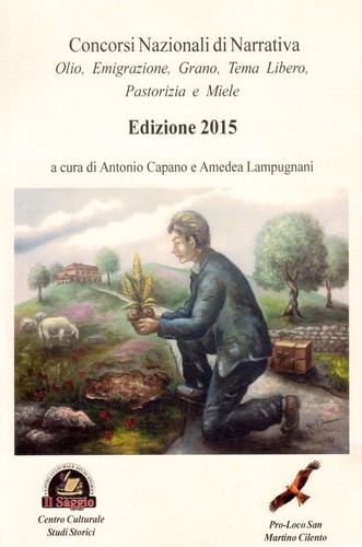 Libri concorsi nazionali - libri,
