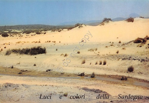 Cartolina arbus piscine - arbus,