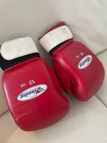 Guantoni boxe vincenti 12 - guantoni,