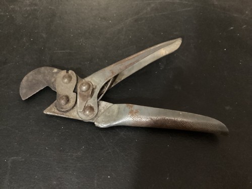 Una specie vecchia pinza - di, da
