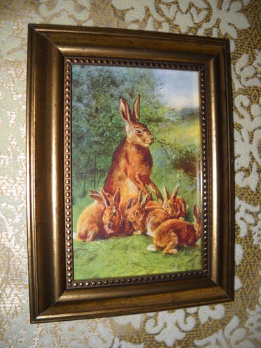 Madre coniglio con giovane 4x6 - coniglio,