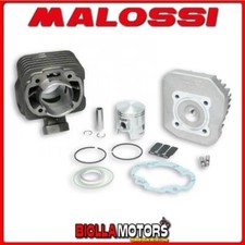 317133 GRUPPO TERMICO MALOSSI