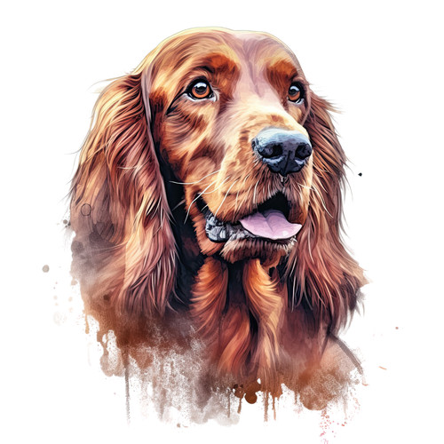 Adesivo setter rosso irlandese - rosso,